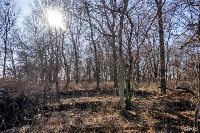 $380,700 | 0 Hwy Hh, Bowling Green, MO 63334