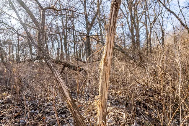 $380,700 | 0 Hwy Hh, Bowling Green, MO 63334