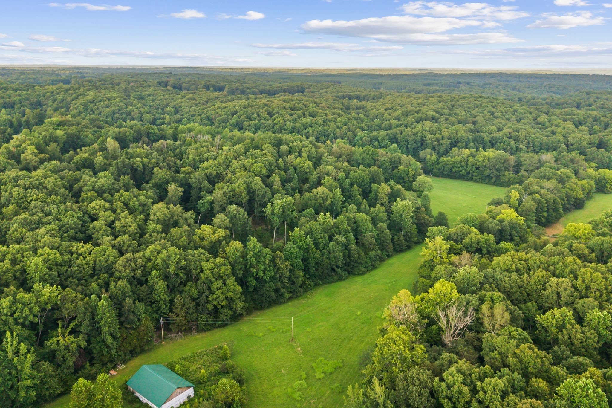 1150 Bell Hollow Road Vanleer, TN 37181 - Photo 11 of 32 a view of a yard with a garden