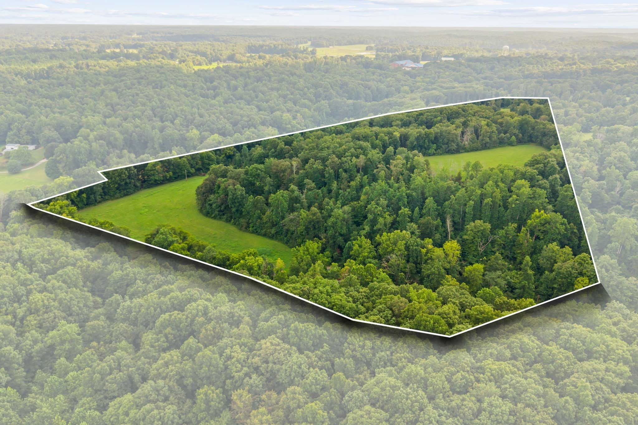 1150 Bell Hollow Road Vanleer, TN 37181 - Photo 2 of 32 a view of a green yard with large trees