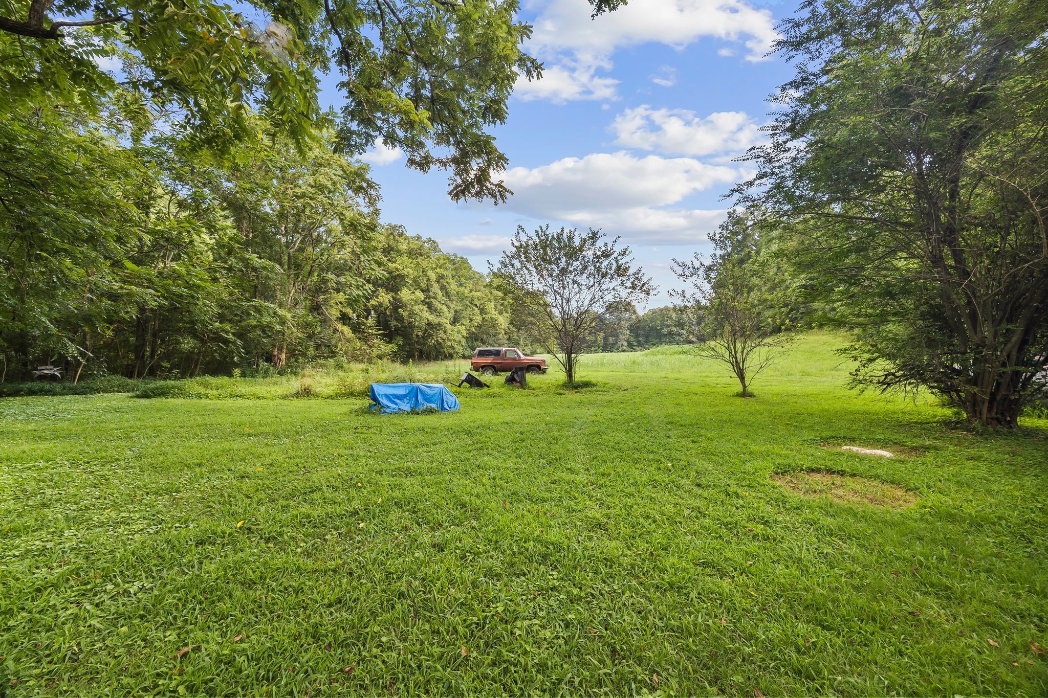 1150 Bell Hollow Road Vanleer, TN 37181 - Photo 27 of 32 a green field with lots of trees