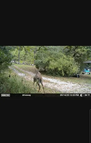 a view of beach and ocean