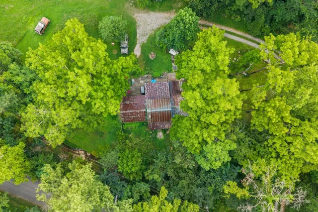 an aerial view of a house with a yard and large trees