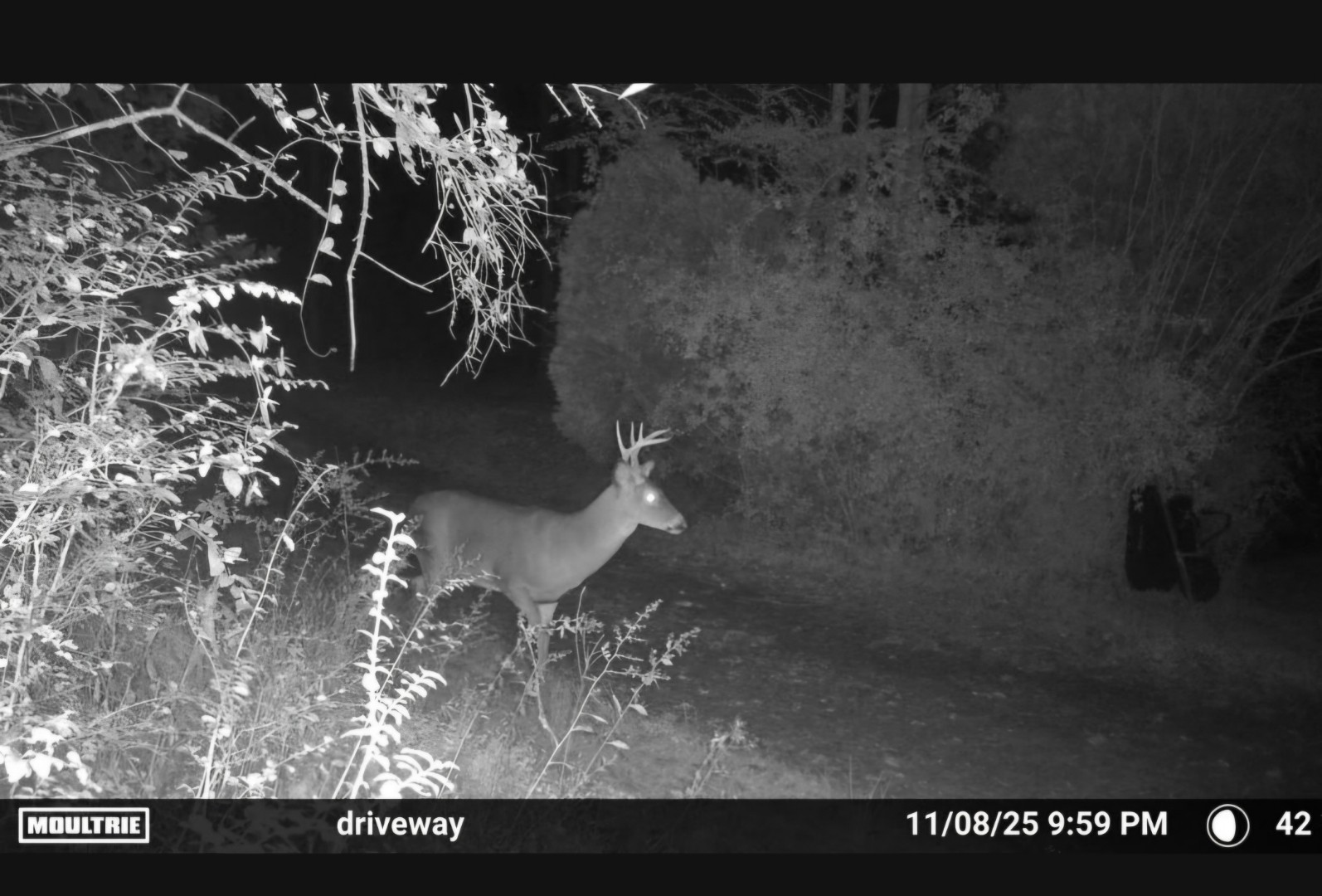 1150 Bell Hollow Road Vanleer, TN 37181 - Photo 31 of 32 a view of water heater