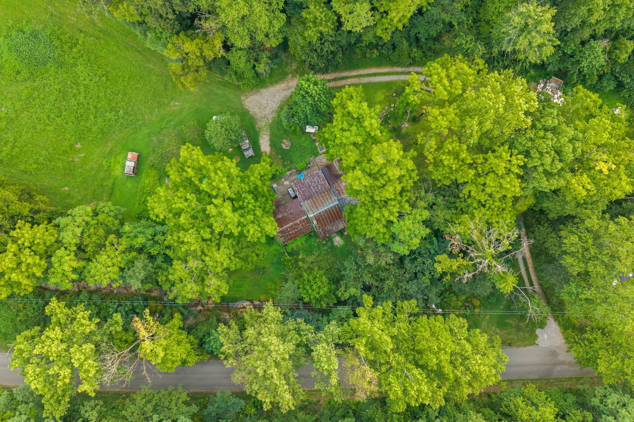 1150 Bell Hollow Road Vanleer, TN 37181 - Photo 4 of 32 a view of a garden