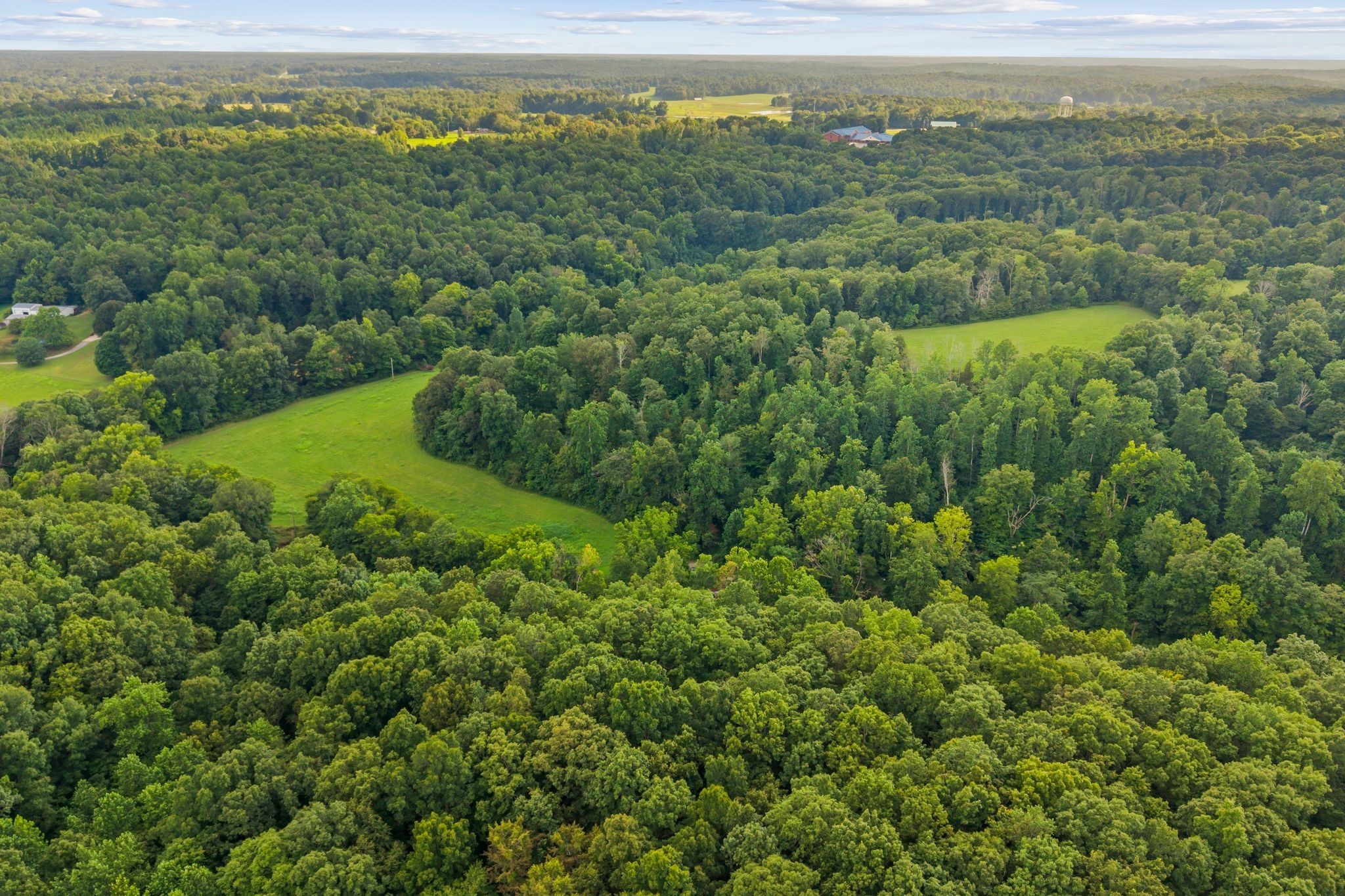 1150 Bell Hollow Road Vanleer, TN 37181 - Photo 5 of 32 an aerial view of residential houses with outdoor space and trees