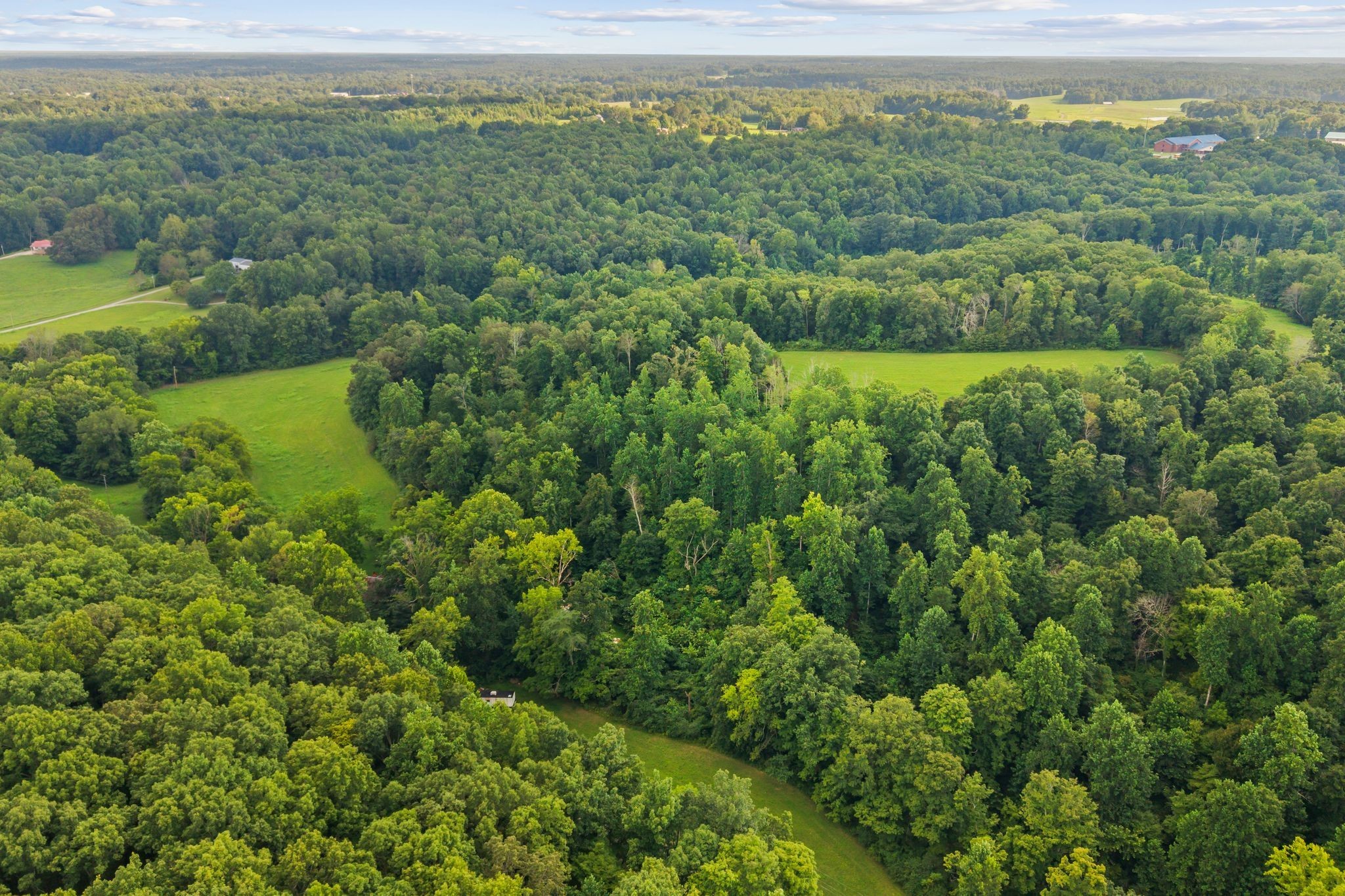 1150 Bell Hollow Road Vanleer, TN 37181 - Photo 6 of 32 a view of a lush green forest with a sink and a mountain view