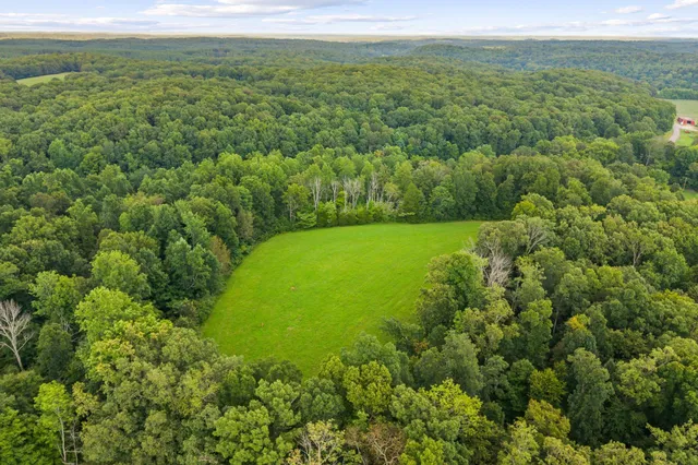 a view of a green field with lots of bushes