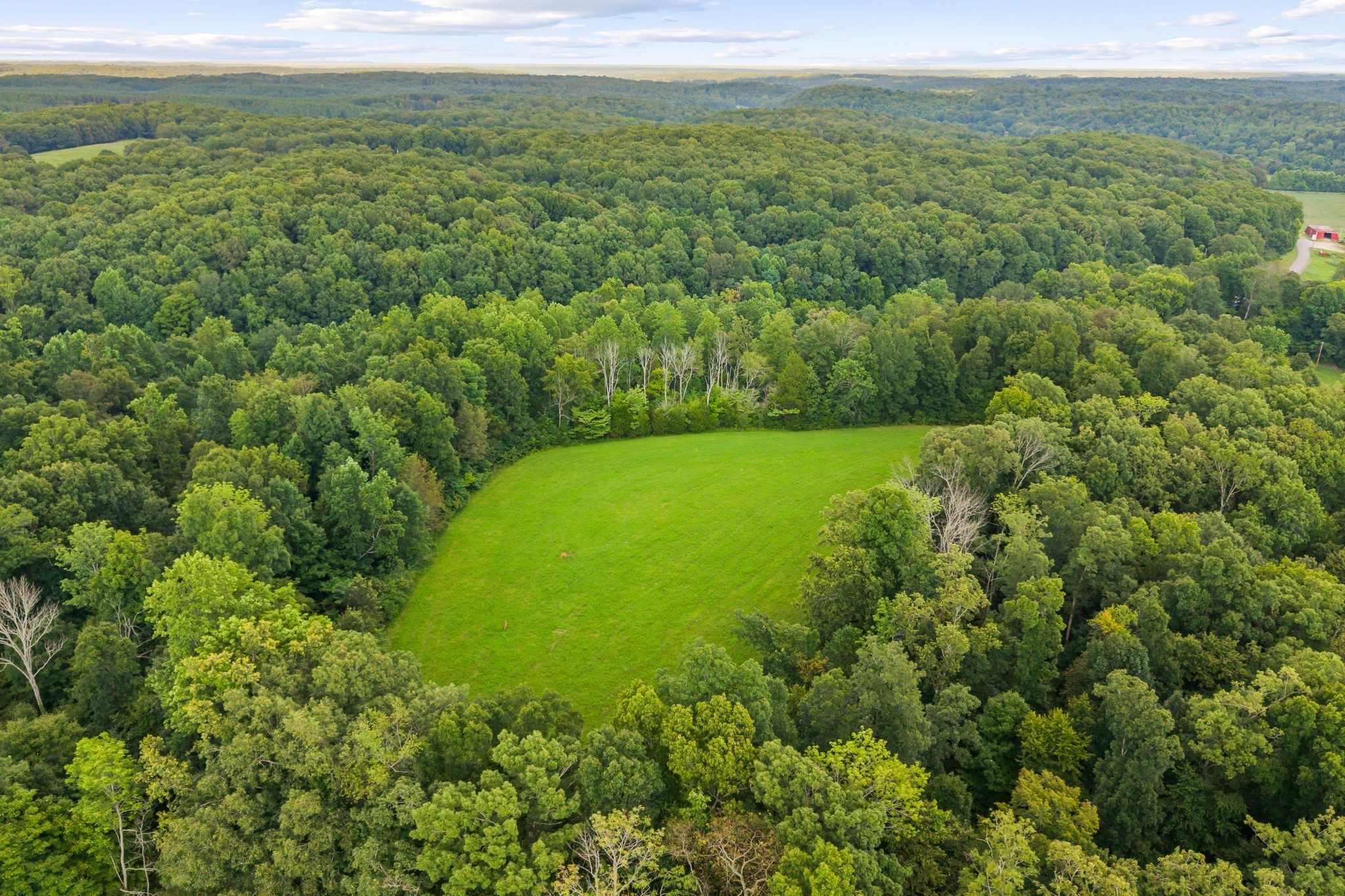 1150 Bell Hollow Road Vanleer, TN 37181 - Photo 8 of 32 a view of a green field with lots of bushes