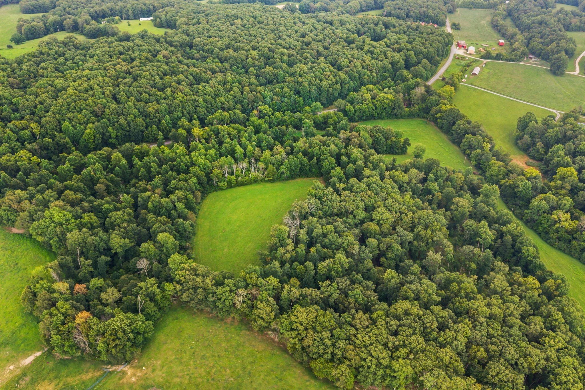 1150 Bell Hollow Road Vanleer, TN 37181 - Photo 9 of 32 a view of a garden