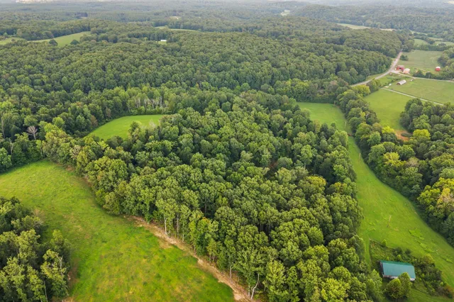 an aerial view of residential houses with outdoor space and trees