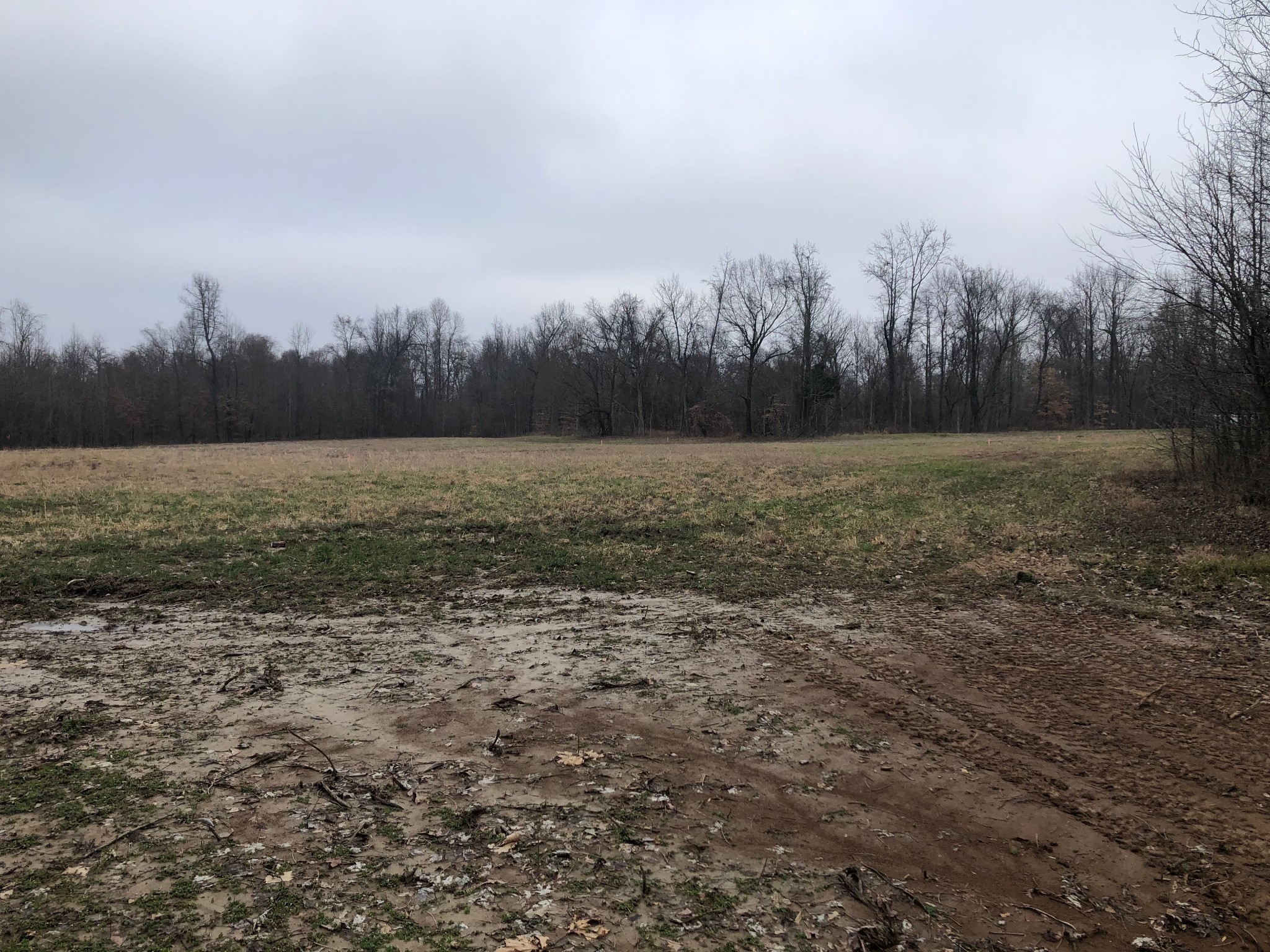 2275 Central Curve Road Ripley, TN 38063 - Photo 2 of 4 a view of a field with trees in background