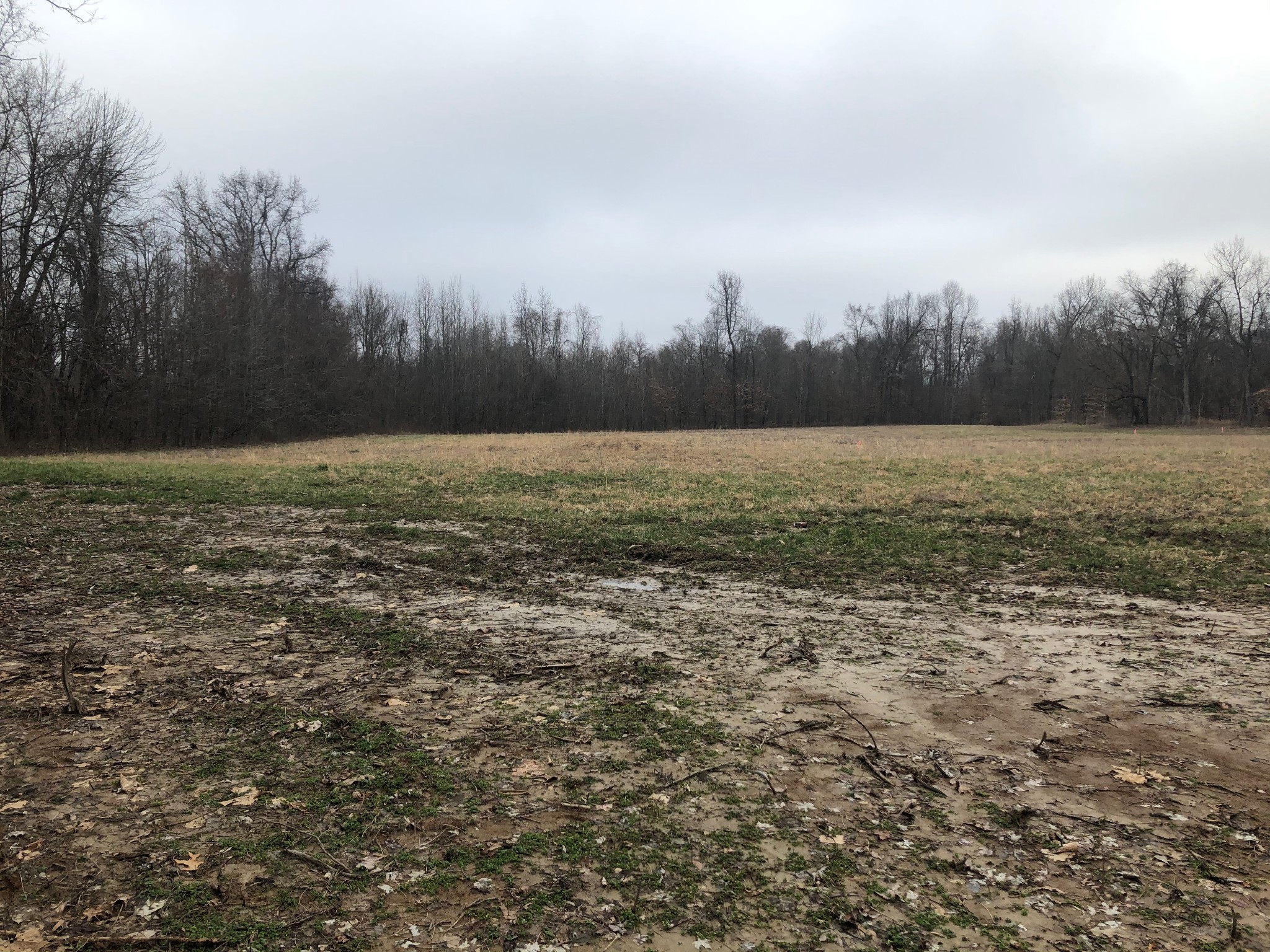 2275 Central Curve Road Ripley, TN 38063 - Photo 3 of 4 a view of a field with an ocean view