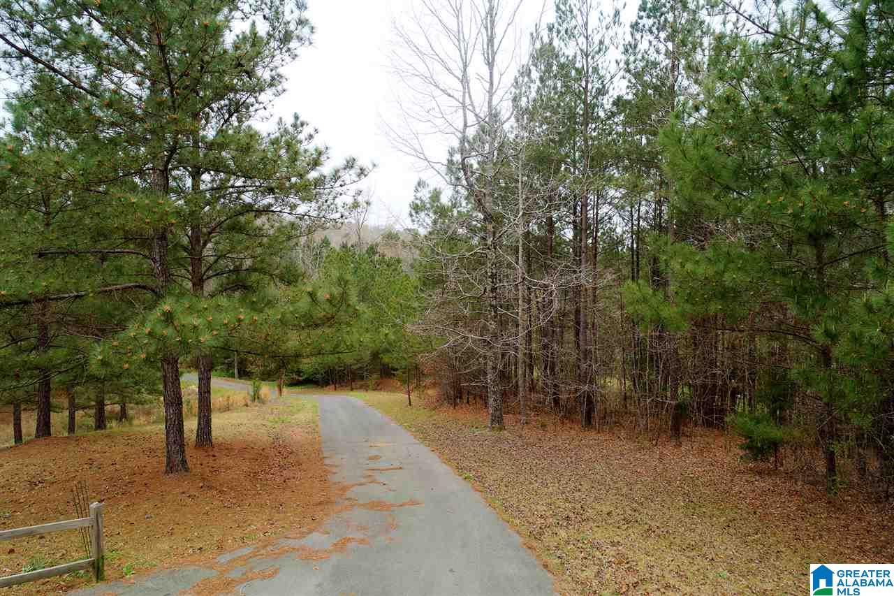 5308 Split Rail Drive Jasper, AL 35503 - Photo 23 of 24