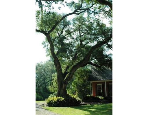 73352 Military Road Covington, LA 70435 - Photo 22 of 25 Gallery Image 22