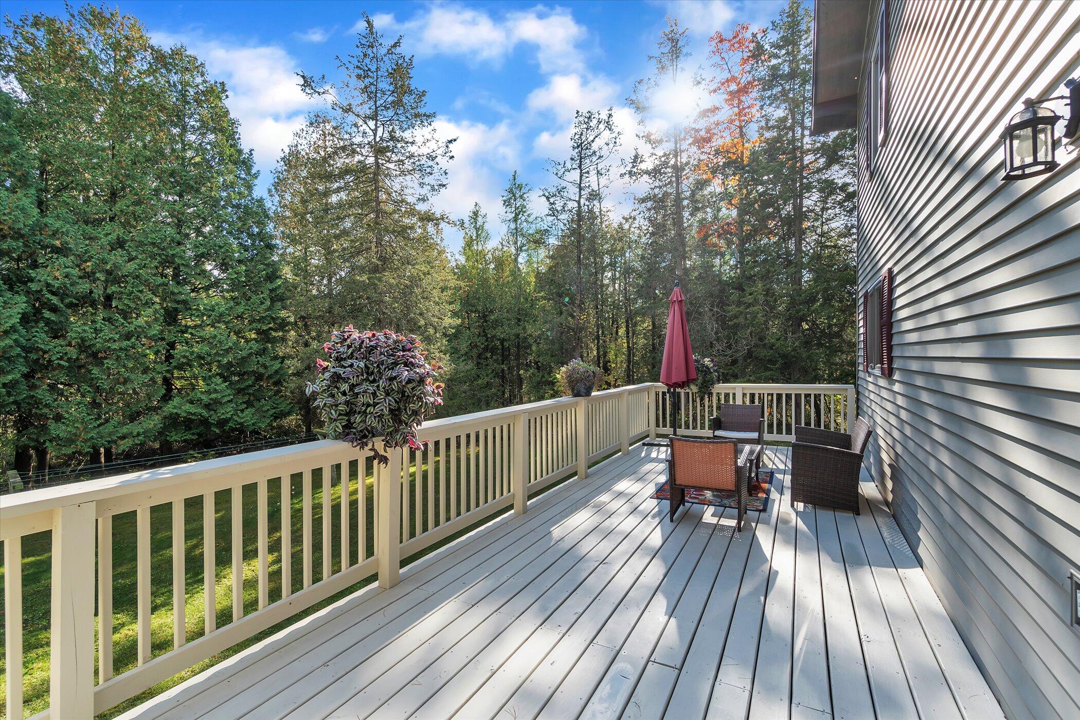 6800 East Pakes Road Crystal, MI 48818 - Photo 50 of 55 50-6800 E Pakes Rd-windowstill-realestat