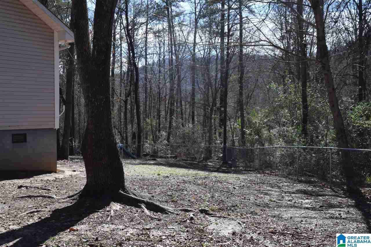 501 Spring Trail Warrior, AL 35180 - Photo 3 of 38