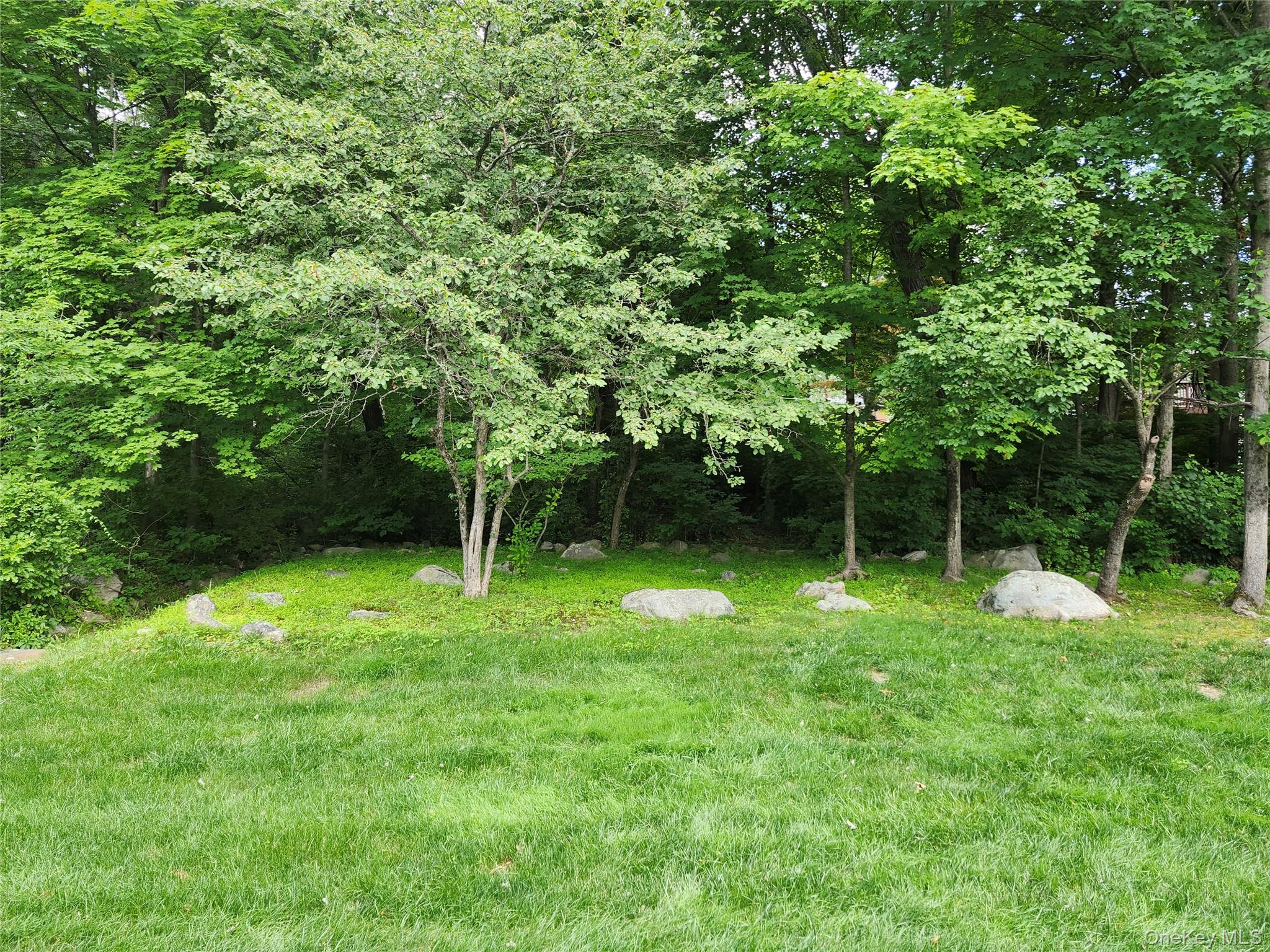 108 Village Road, Unit B Yorktown Heights, NY 10598 - Photo 11 of 42 a view of a backyard with a slide