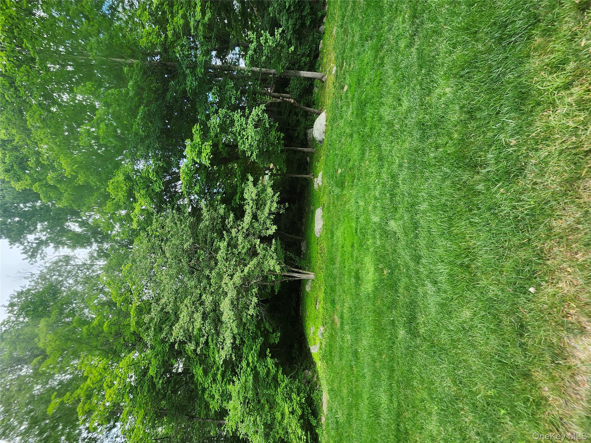 108 Village Road, Unit B Yorktown Heights, NY 10598 - Photo 12 of 42 a view of a green yard with large trees