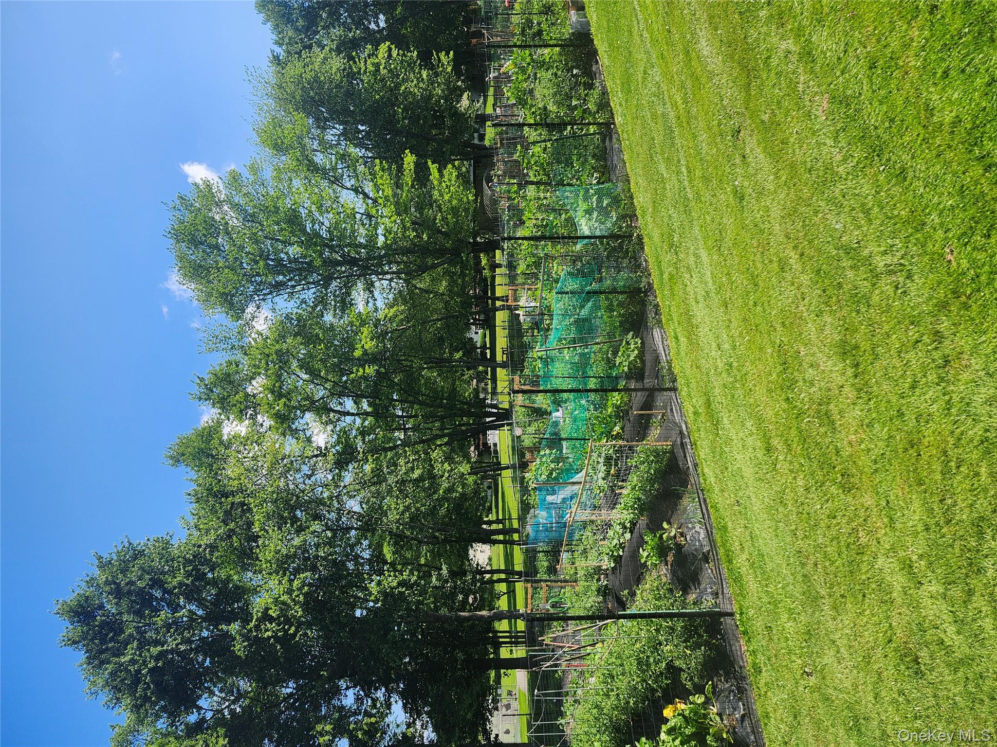 108 Village Road, Unit B Yorktown Heights, NY 10598 - Photo 22 of 42 View of grassy yard with a vegetable garden