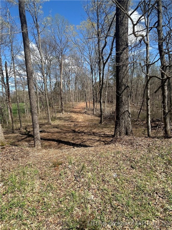 Union Chapel Road Southeast Corydon, IN 47112 - Photo 11 of 15
