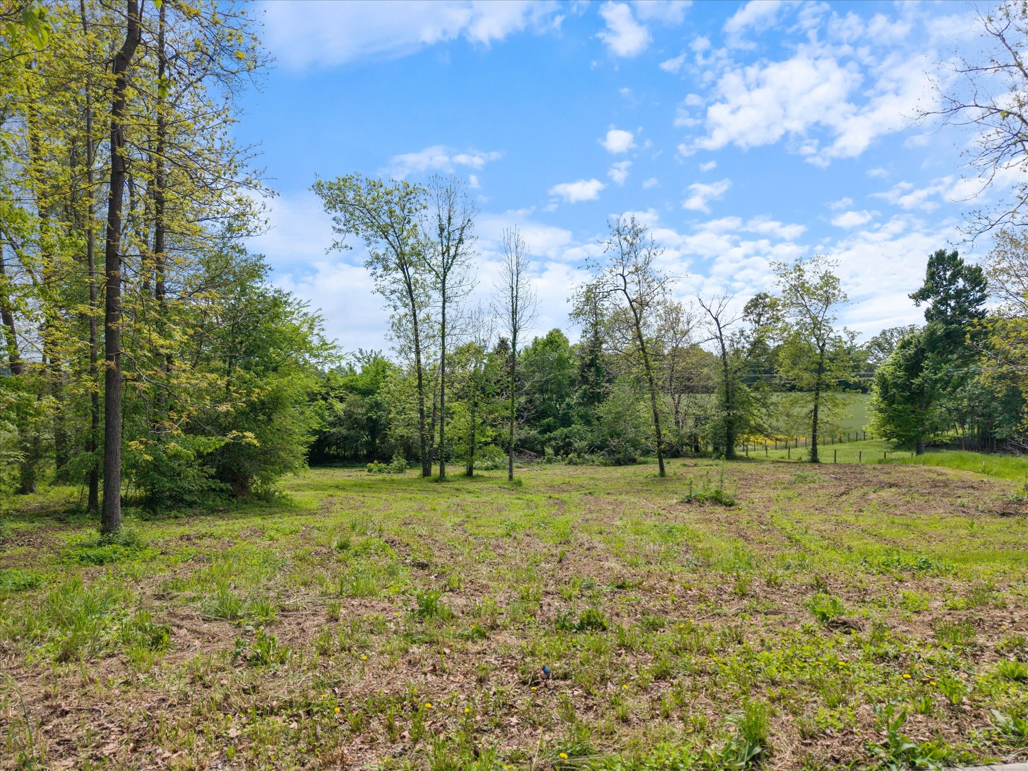 0 Cascade Drive Winchester, TN 37398 - Photo 3 of 7 a view of a grassy field with trees in the background