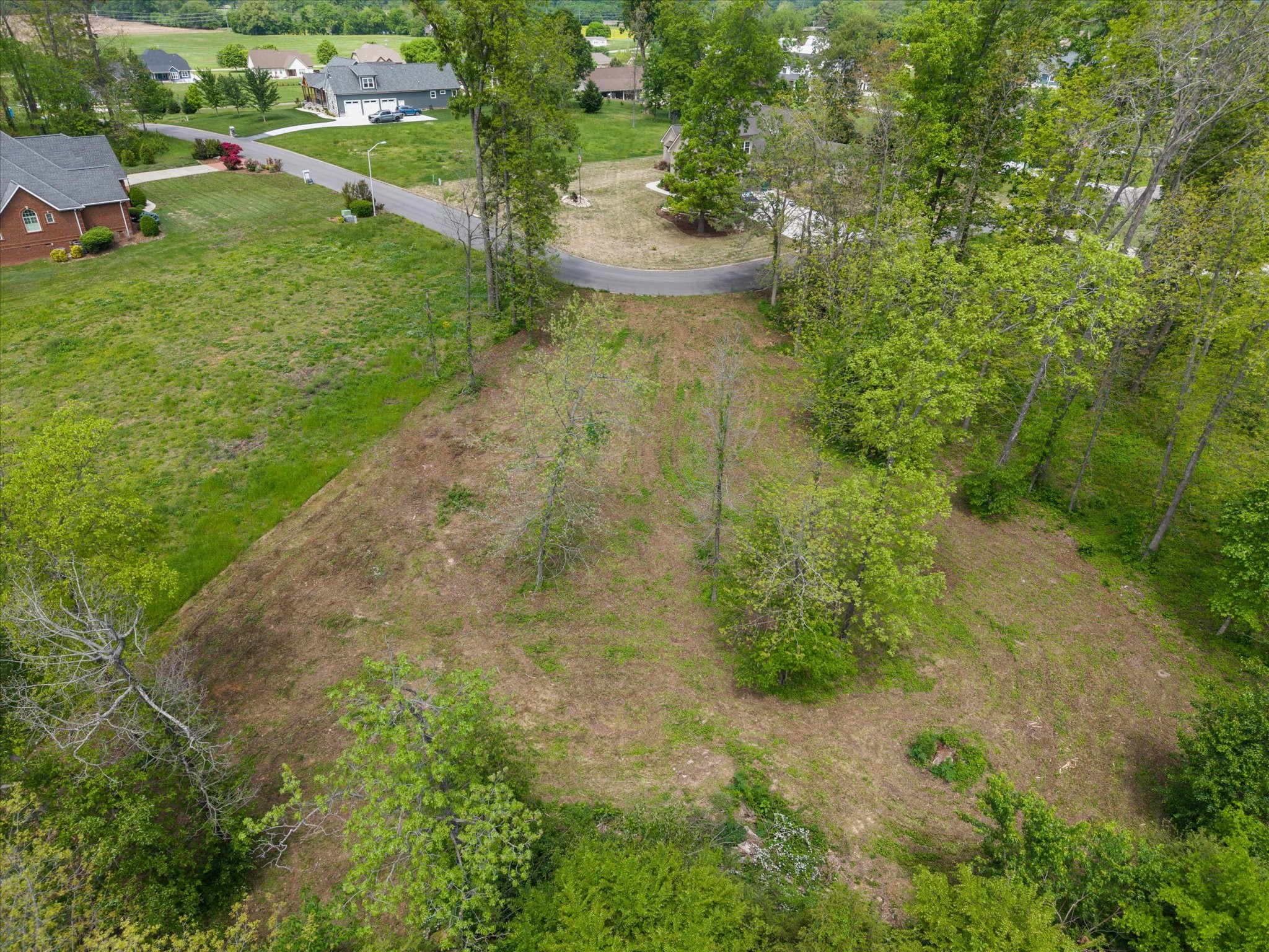 0 Cascade Drive Winchester, TN 37398 - Photo 7 of 7 a view of a yard with plants and large trees