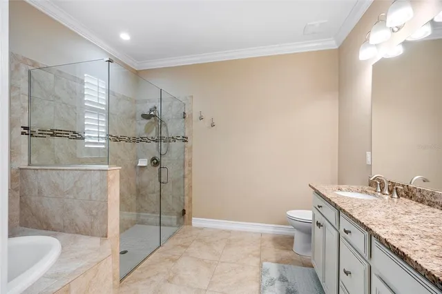 a bathroom with a granite countertop sink a toilet and shower