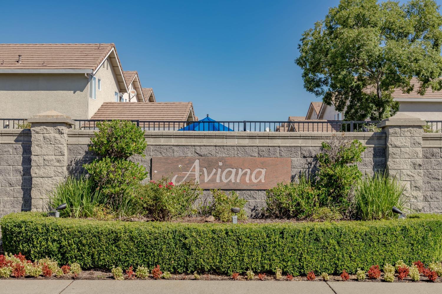 3360 Apollo Circle Roseville, CA 95661 - Photo 3 of 55