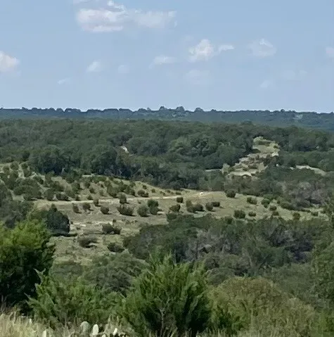 a view of a city with lush green forest