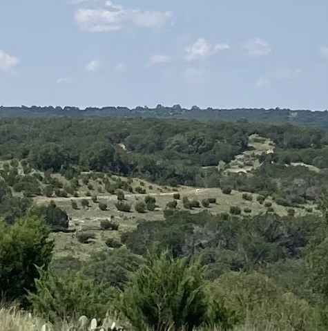 a view of a city with lush green forest