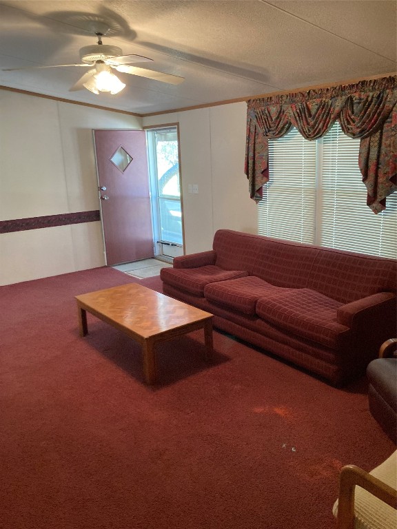 564 Cherry Springs Road Hunt, TX 78024 - Photo 13 of 29 a living room with furniture and a chandelier