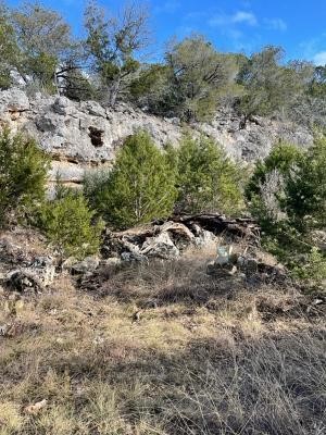 564 Cherry Springs Road Hunt, TX 78024 - Photo 18 of 29 a view of a forest with a forest