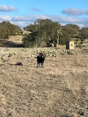 a view of lake view and mountain