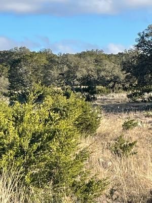 564 Cherry Springs Road Hunt, TX 78024 - Photo 28 of 29 a view of lake view and mountain