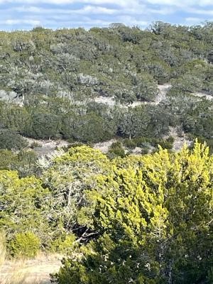 564 Cherry Springs Road Hunt, TX 78024 - Photo 29 of 29 a view of a yard with a tree