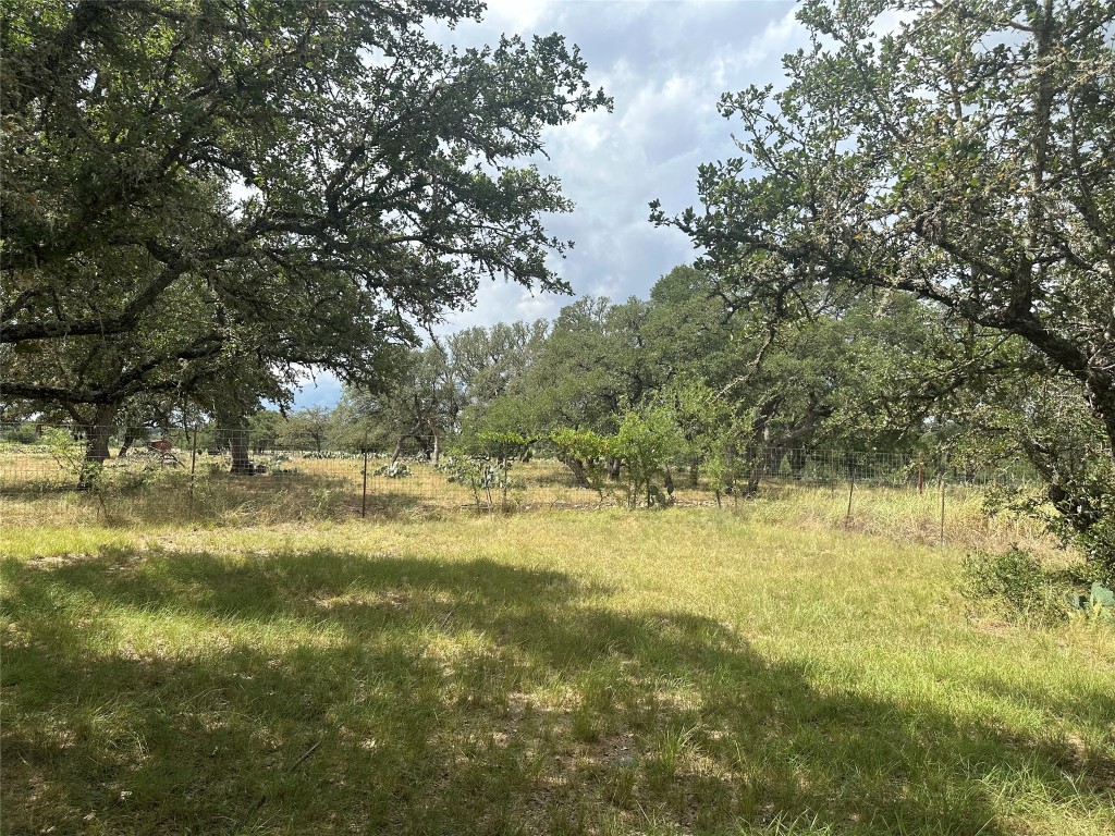 564 Cherry Springs Road Hunt, TX 78024 - Photo 4 of 29 a view of beach and yard