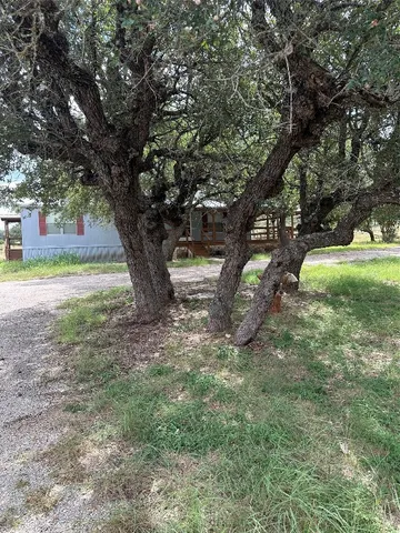 a view of a yard with a tree
