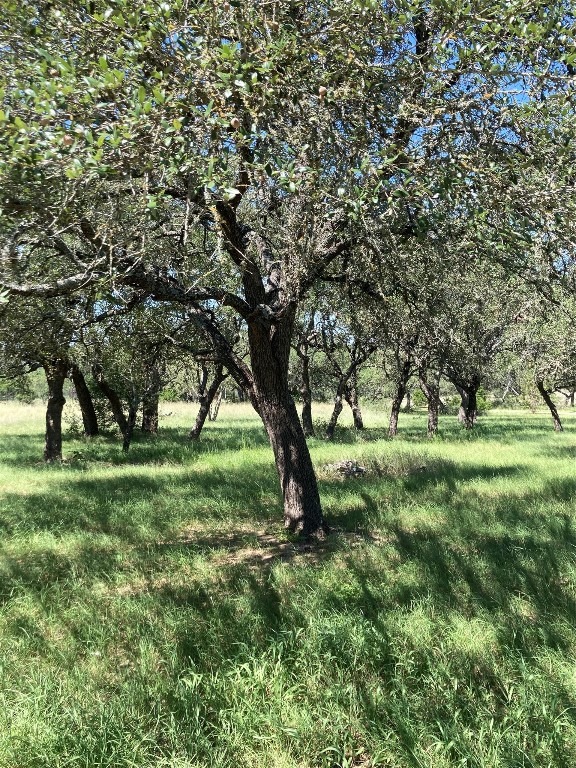 564 Cherry Springs Road Hunt, TX 78024 - Photo 7 of 29 a view of yard with trees
