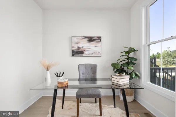 a workspace room with furniture and a potted plant