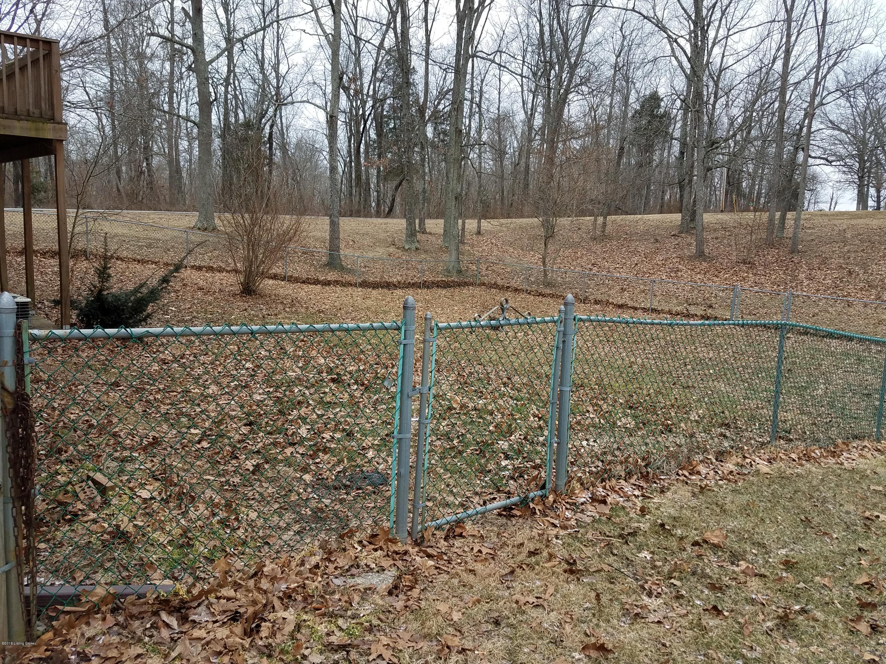245 Foxboro Road Brandenburg, KY 40108 - Photo 19 of 22 foxboro backyard main