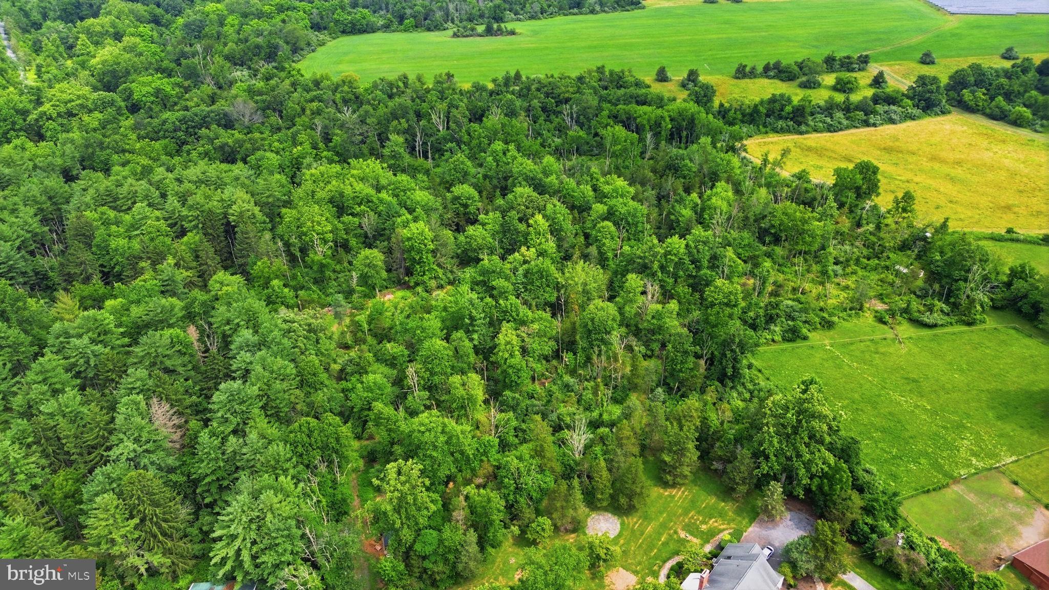 136 Rocktown-lamb Road Lambertville, NJ 08530 - Photo 96 of 107