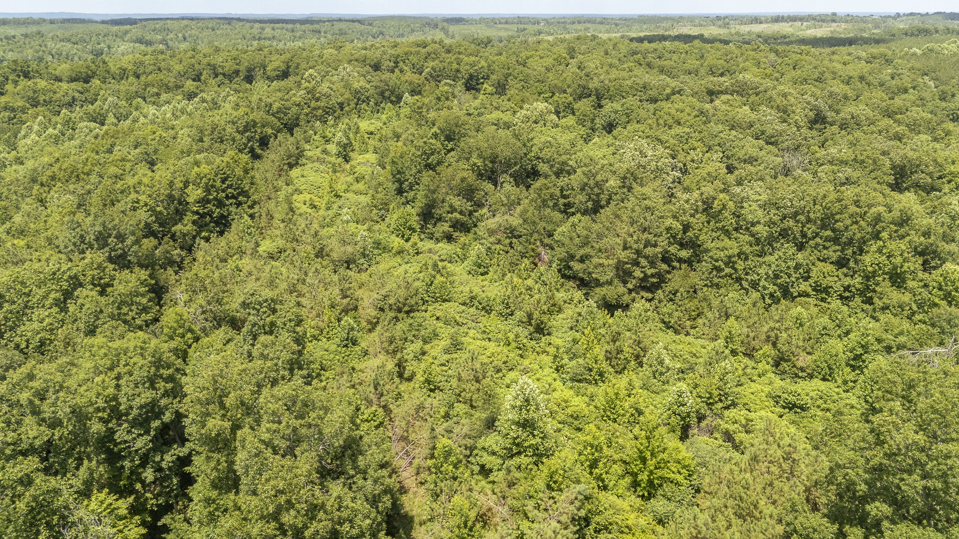 912 Simmons Branch Road Waynesboro, TN 38485 - Photo 17 of 21