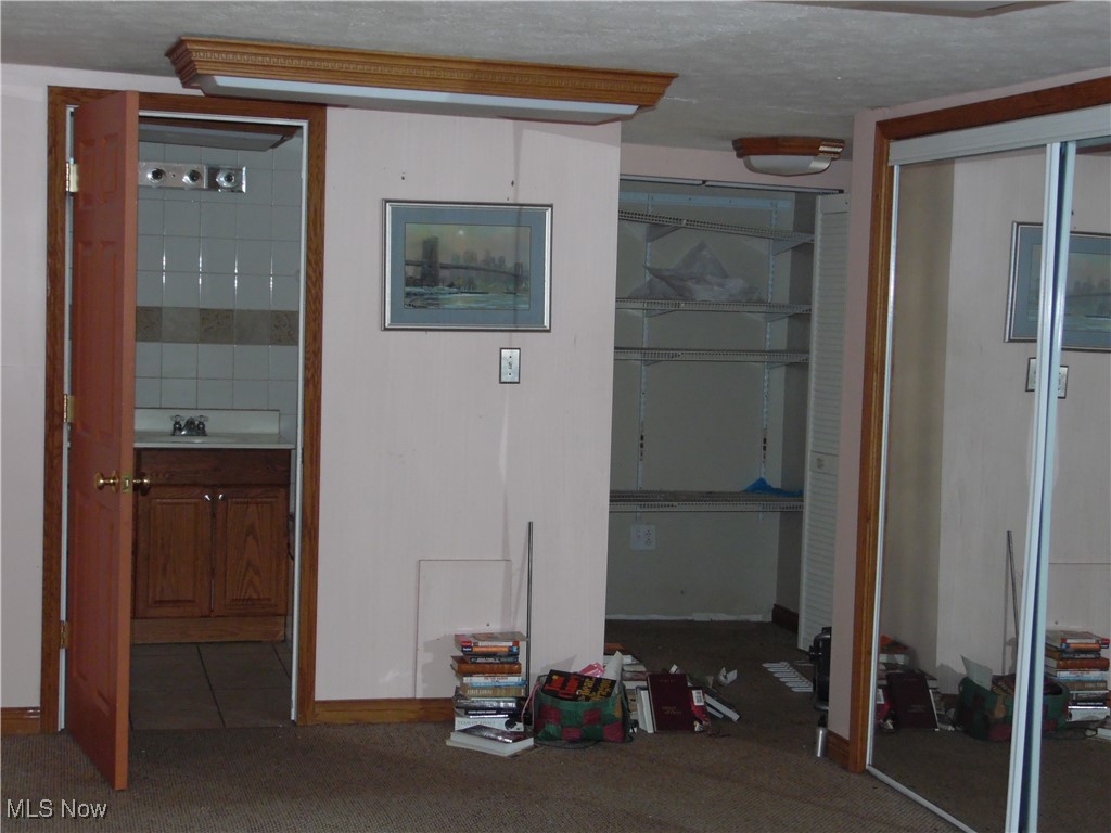 1012 Mayle Ridge Road Cutler, OH 45724 - Photo 20 of 44 Misc room with sink, a textured ceiling, and carpet