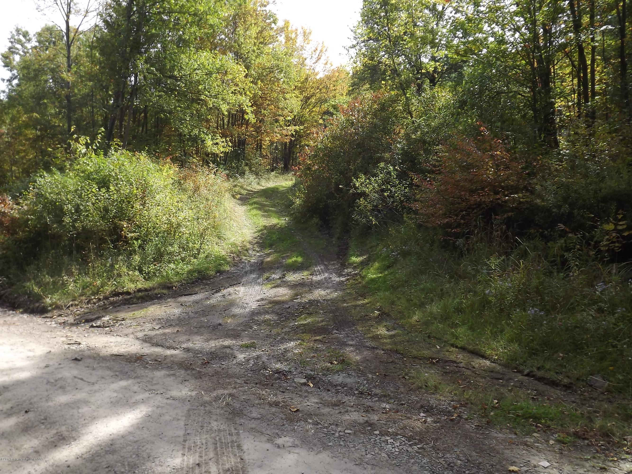 Driveway into property