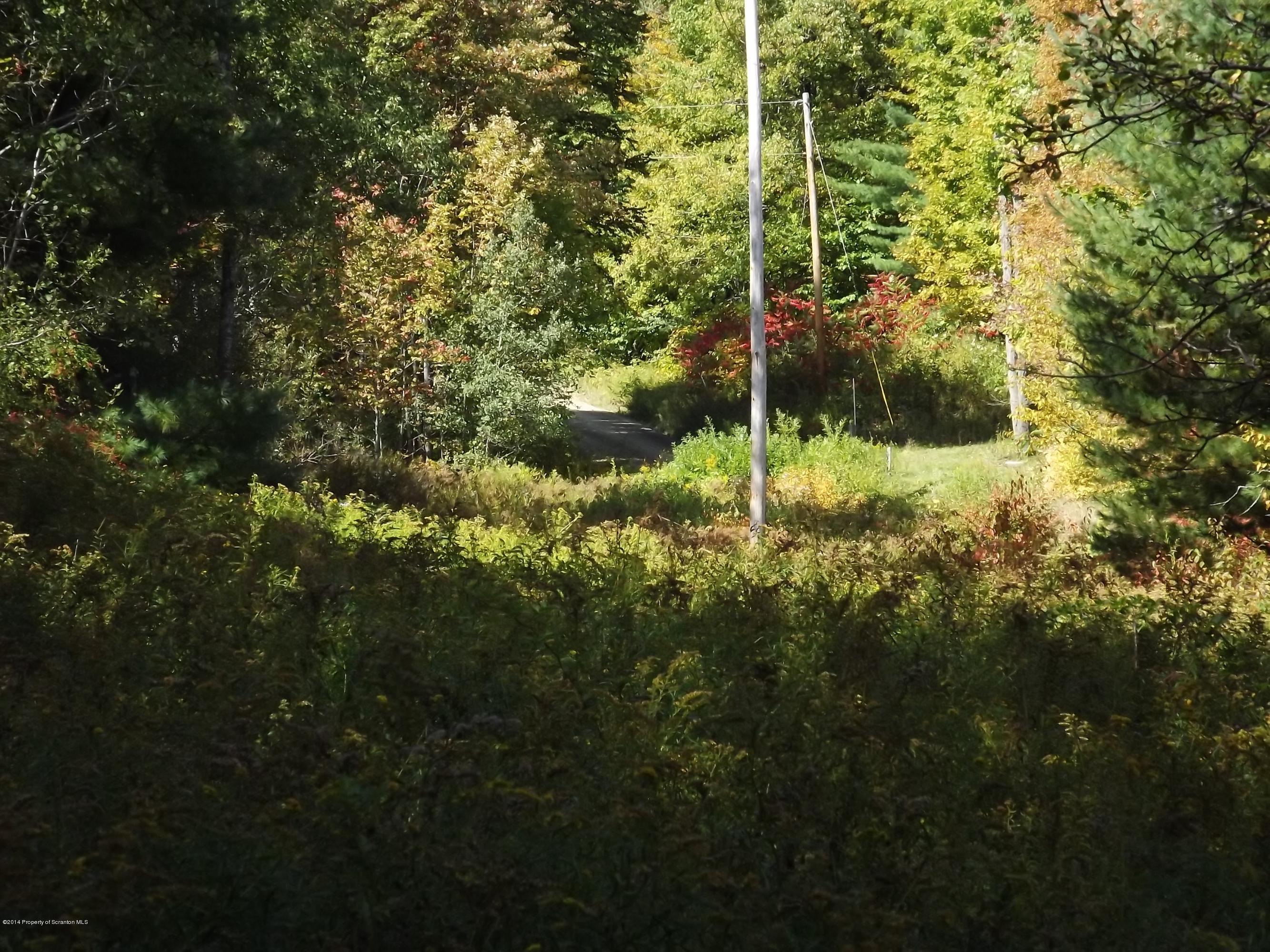 Driveway to Homesite