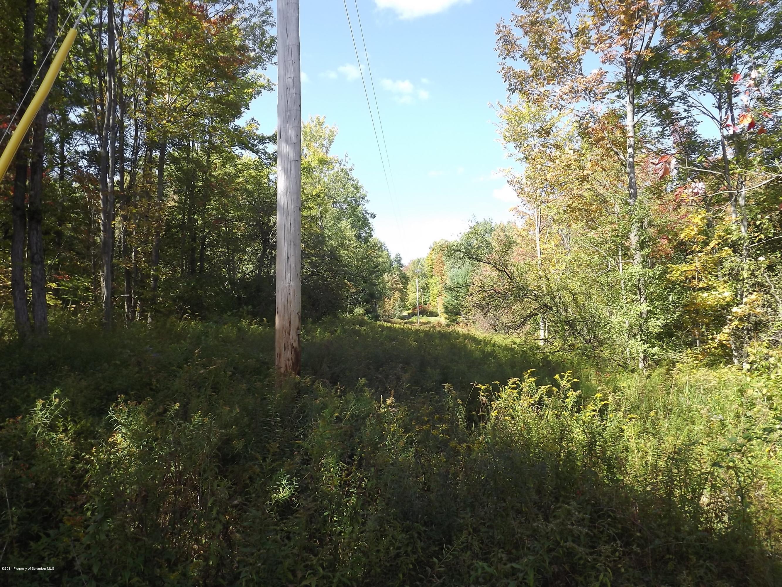 1994 Mahoney Road Montrose, PA 18801 - Photo 8 of 8 Right Side Powerline