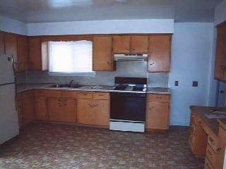 2967 Bragg Road Dundee, MI 48131 - Photo 4 of 6 593740-3.JPG