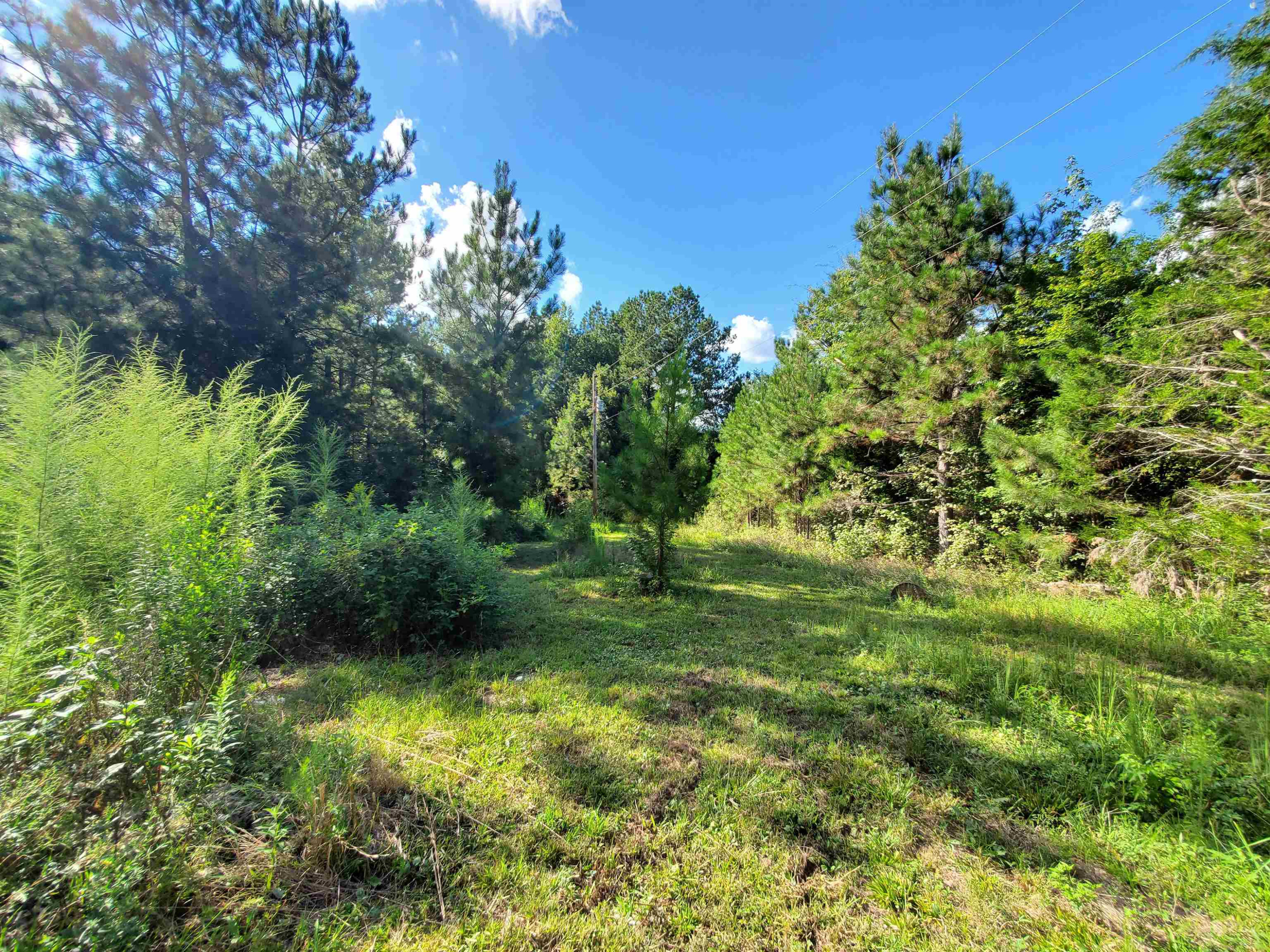 526 D D Hart Road Siler City, NC 27344 - Photo 1 of 10 Photo 1