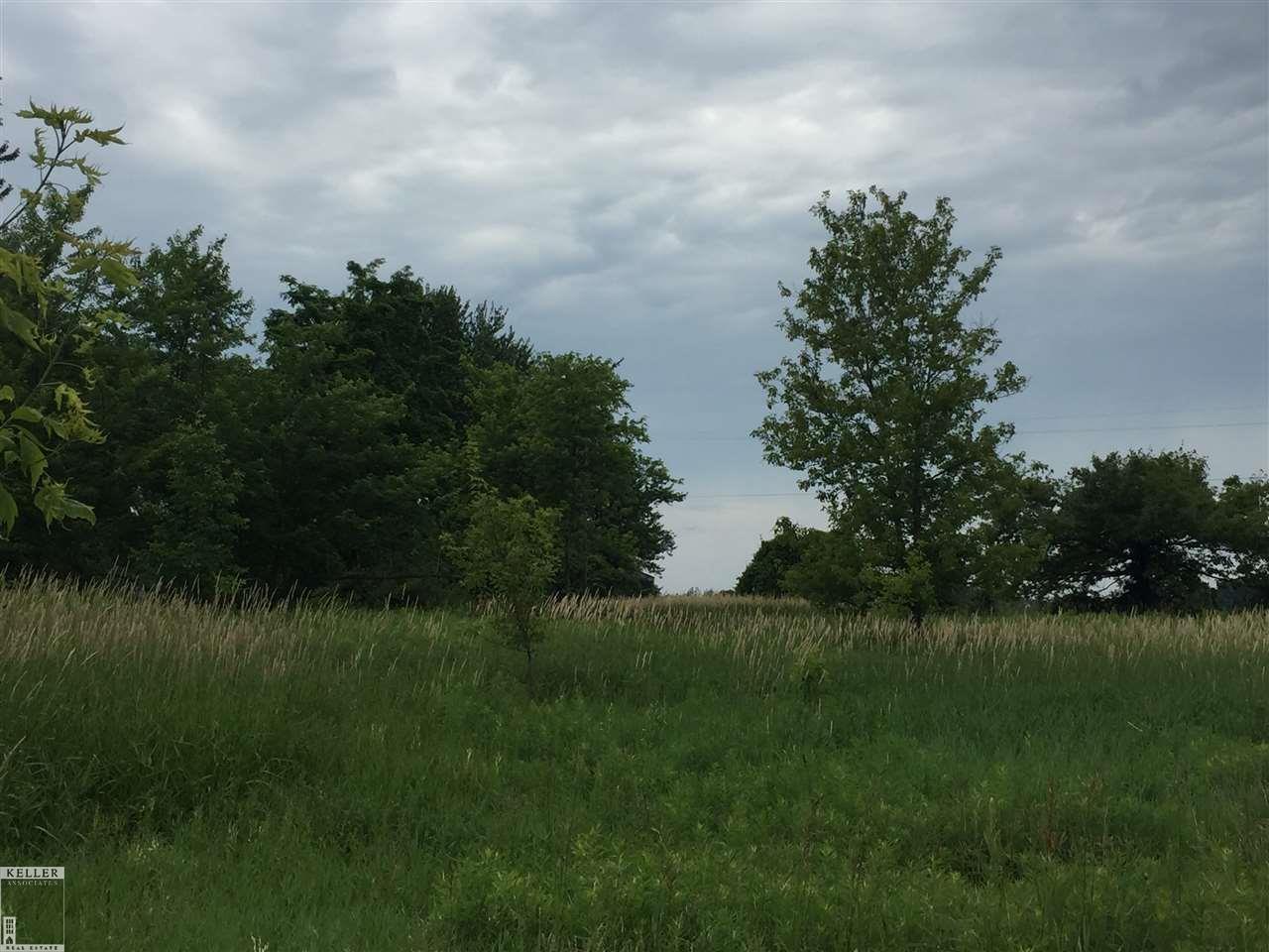37 Mile Romeo, MI 48065 - Photo 6 of 10